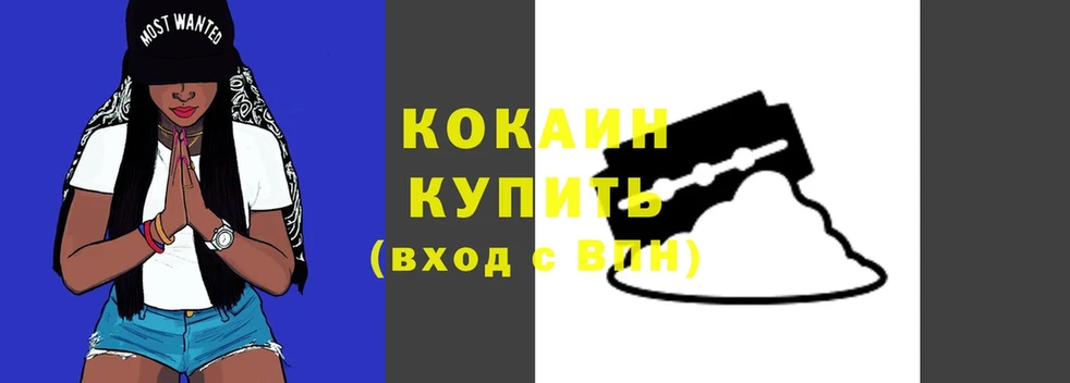 где можно купить   Кувандык  COCAIN VHQ 